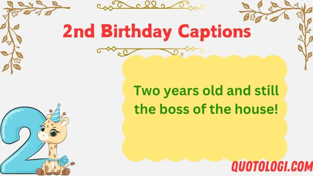 2nd Birthday Captions
