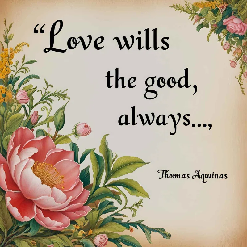 Thomas Aquinas Quotes