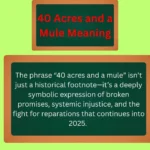 40 Acres and a Mule Meaning
