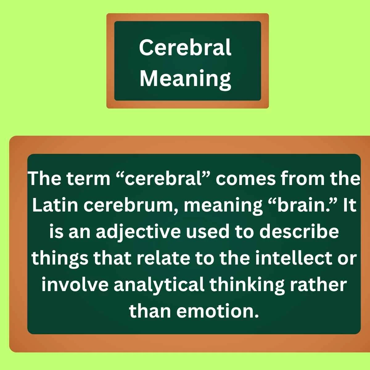 Cerebral Meaning