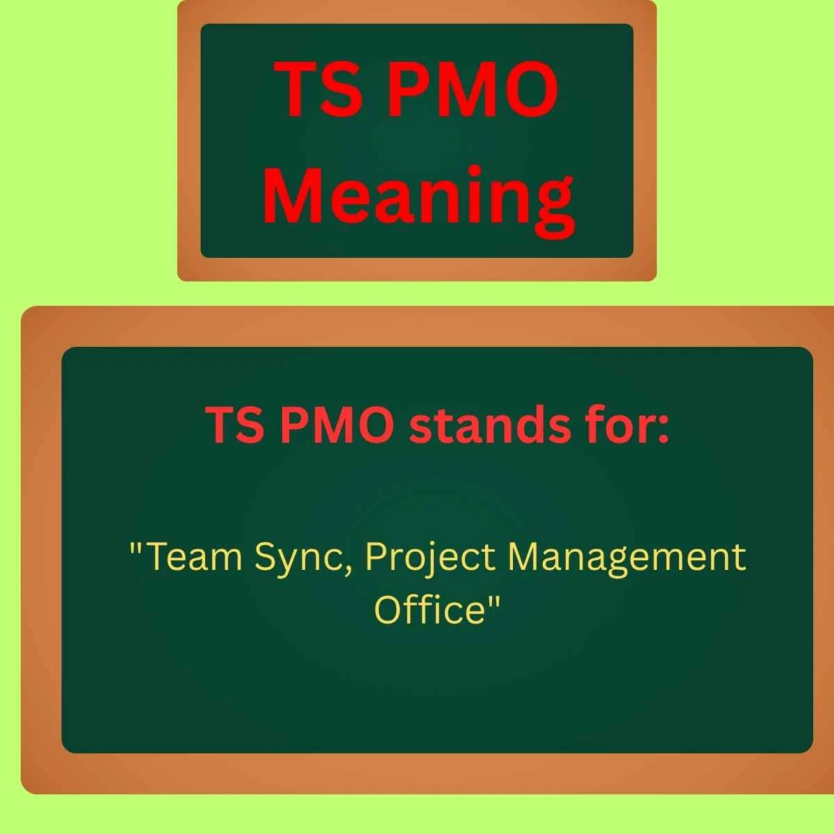 TS PMO Meaning