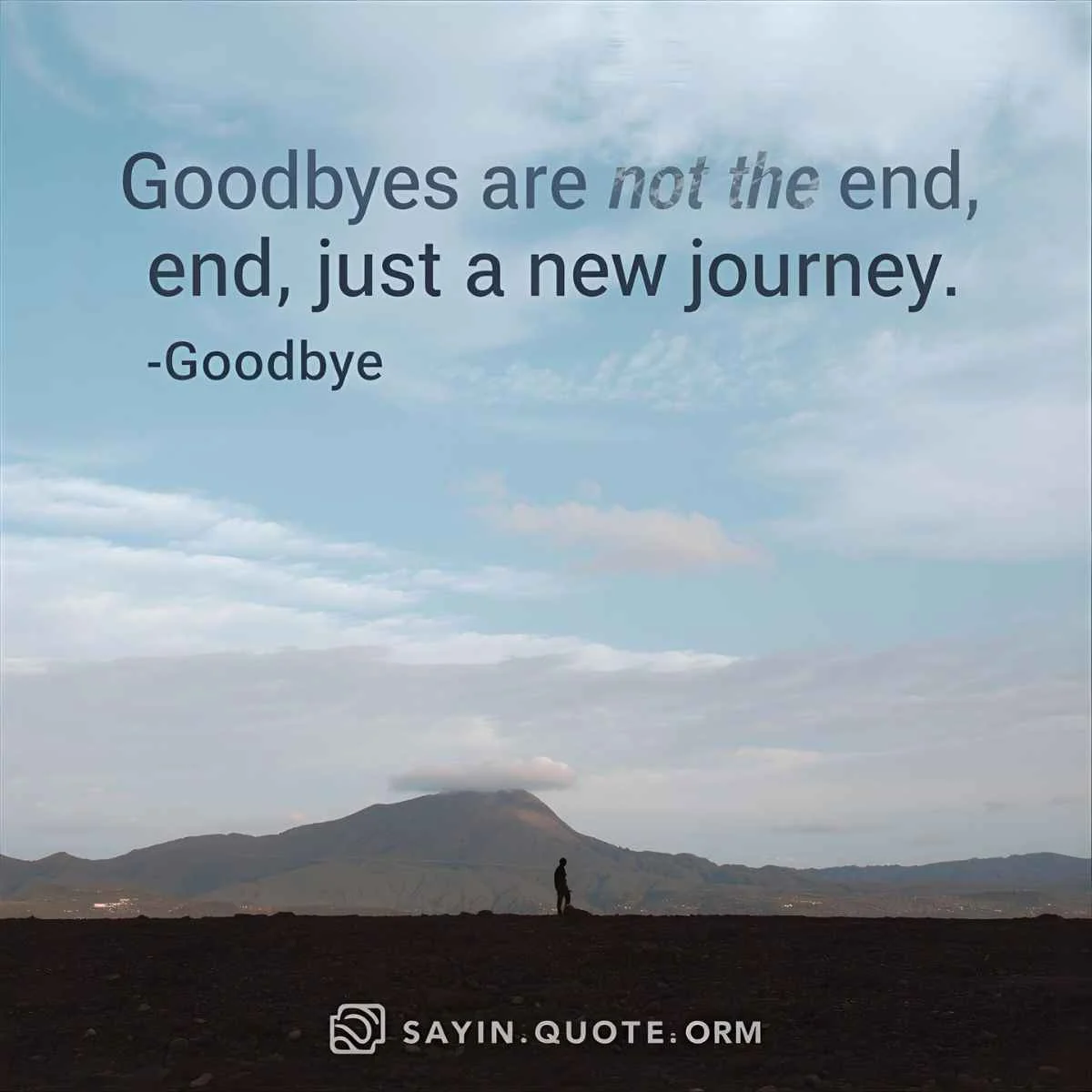 Saying Goodbye Quotes