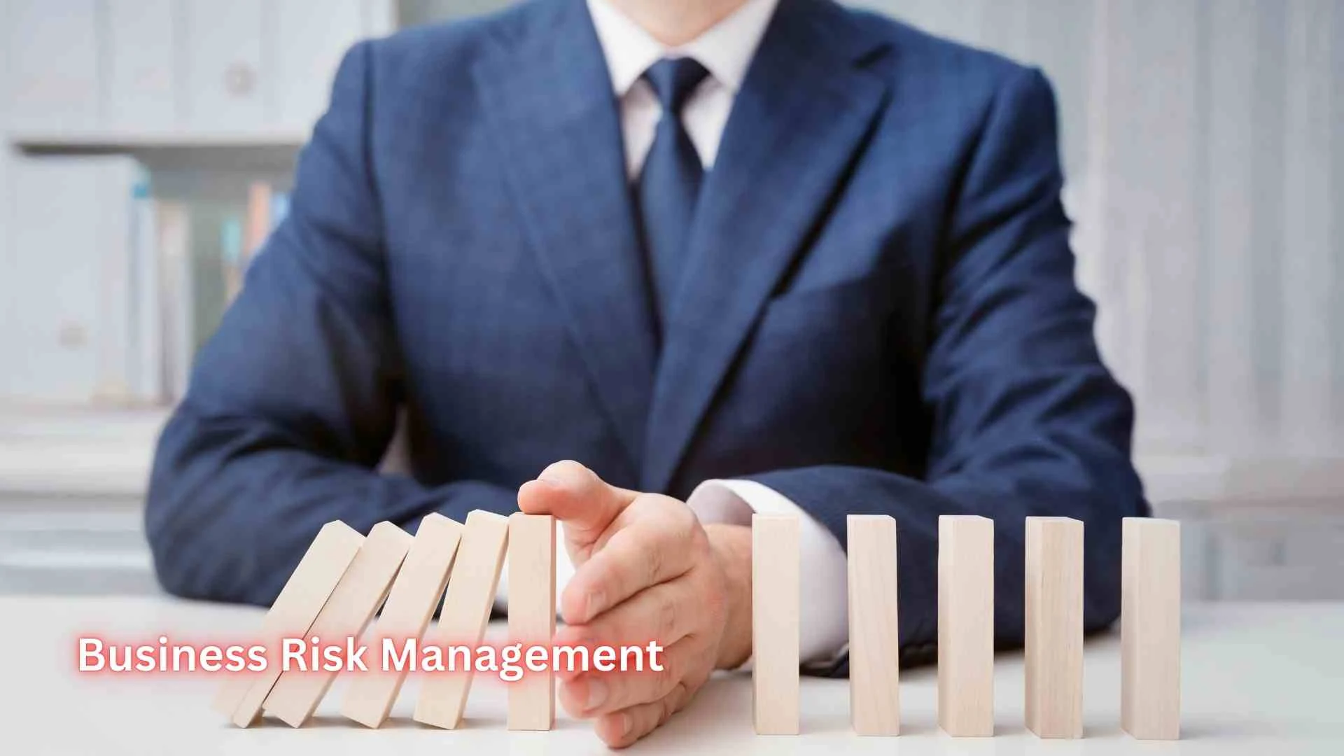 Business Risk Management